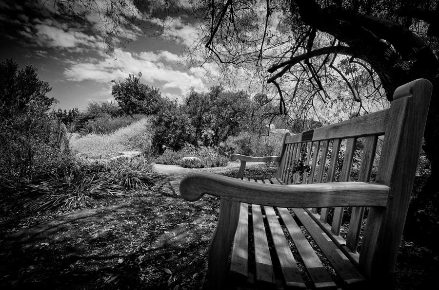 The Bench Photograph by Brian Hayashi - Fine Art America