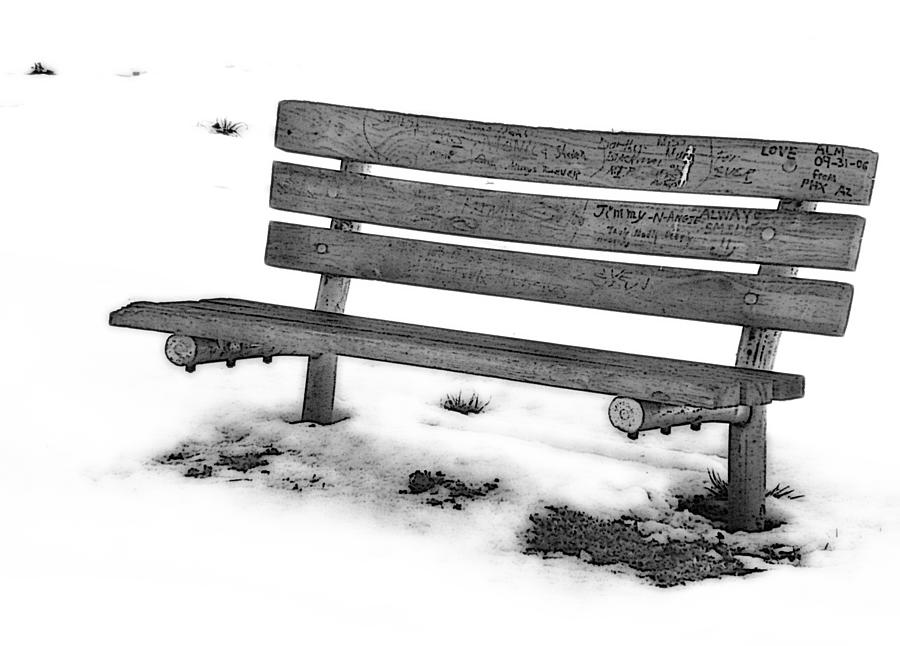 The Bench in Winter Photograph by Ellen Tully