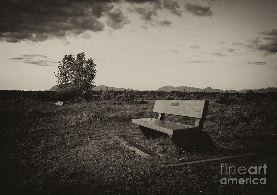 Sunset Photograph - The Bench by James Yang
