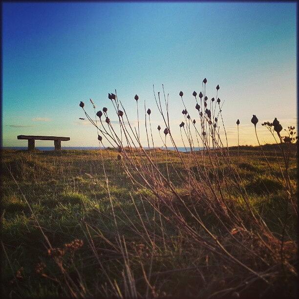 Winter Photograph - The #bench On The Edge Of The World by Linandara Linandara