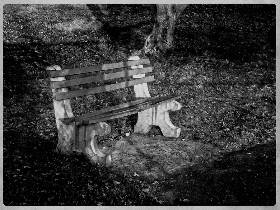 Park Photograph - The Bench by Wayne Gill