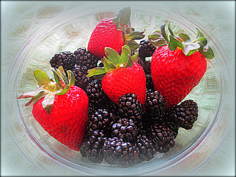 The Berries Photograph by Kay Novy