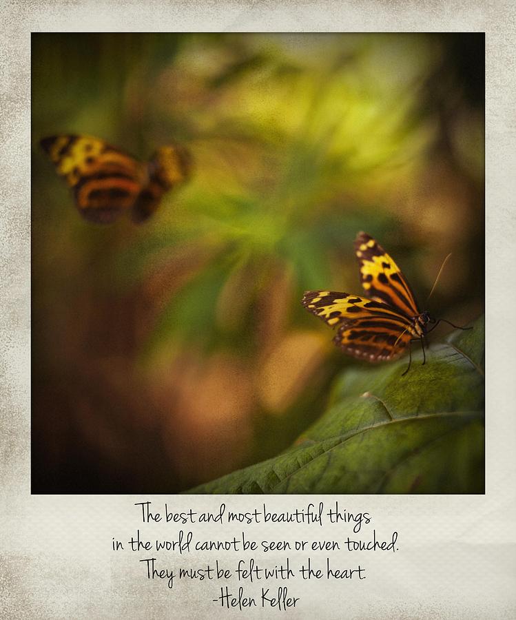 The Best And Most Beautiful Things In The World - Helen Keller Polaroid Photograph by Bradley R Youngberg