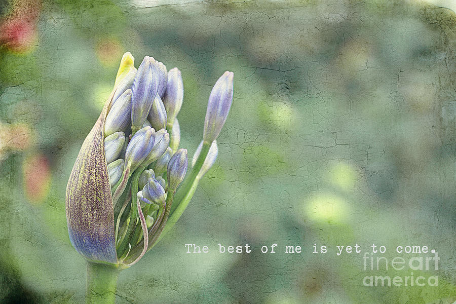 The Best of Me Photograph by Diane Enright