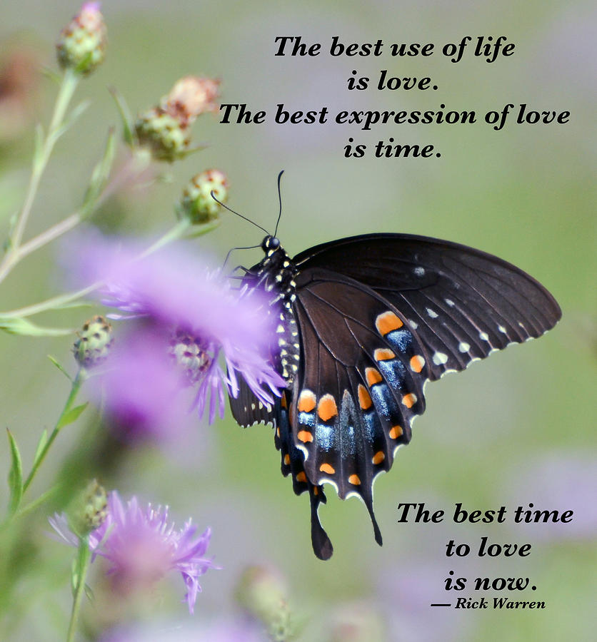 The Best Time To Love Is Now Photograph by Kerri Farley