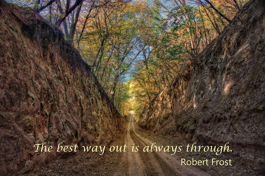 Inspirational Photograph - The Best Way Out by Nikolyn McDonald