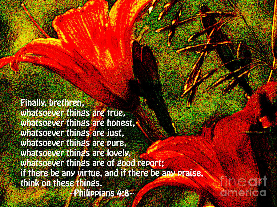 The Bible Philippians 4 Photograph by Ron Tackett