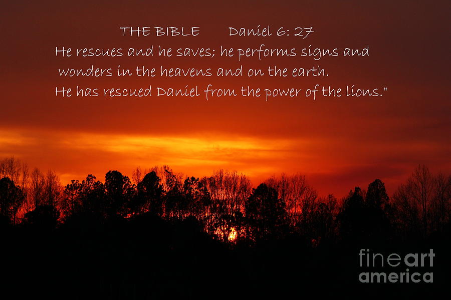 Jesus Christ Photograph - The Bibles says.... Daniel 6 vs 27 NIV by Reid Callaway