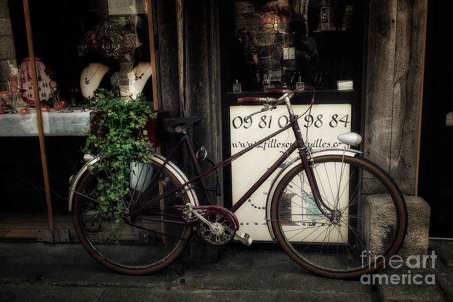 The Bicycle Photograph by Ann Garrett