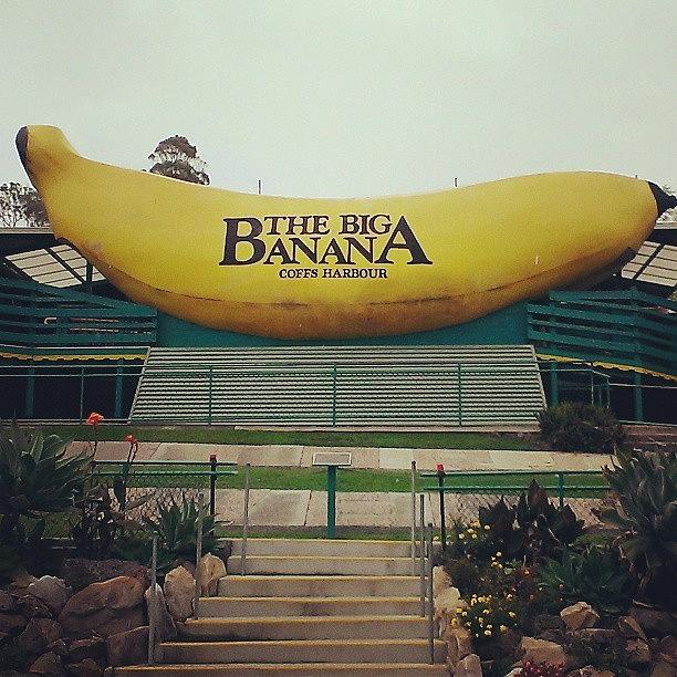The Big Banana...coffs Harbour Photograph by Sally Skennar