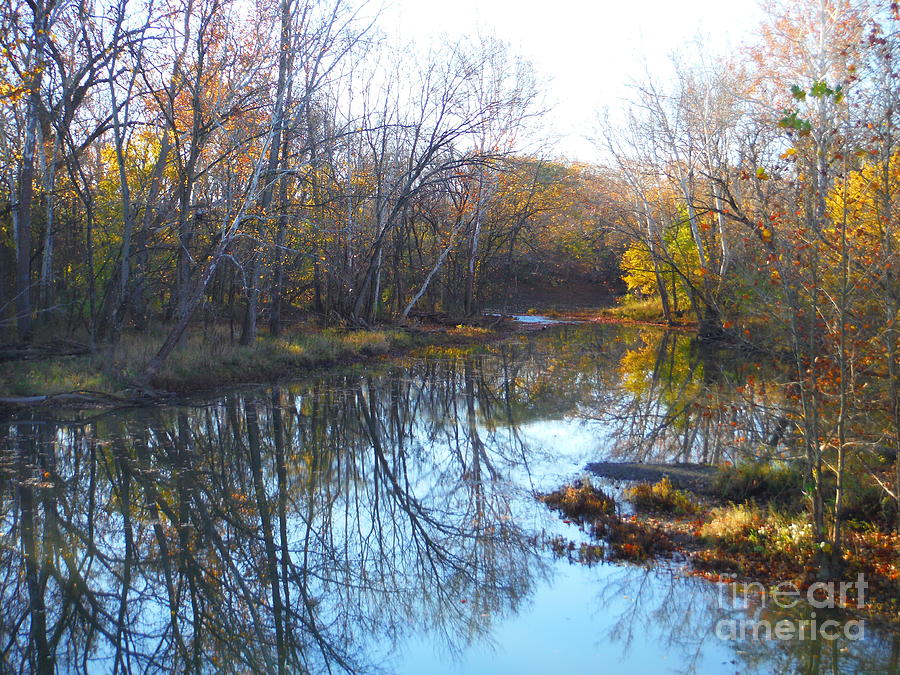 The Big Darby Creek In Autumn Photograph by Paddy Shaffer