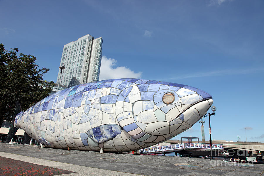 The Big Fish Belfast Photograph by Ros Drinkwater