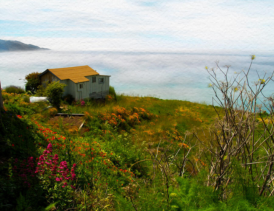Flower Photograph - The Big Sur Coast Lucia CA by Joe Schofield