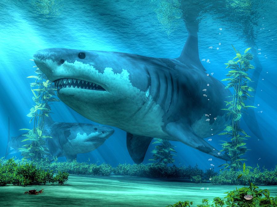 Jaws Digital Art - The Biggest Shark by Daniel Eskridge