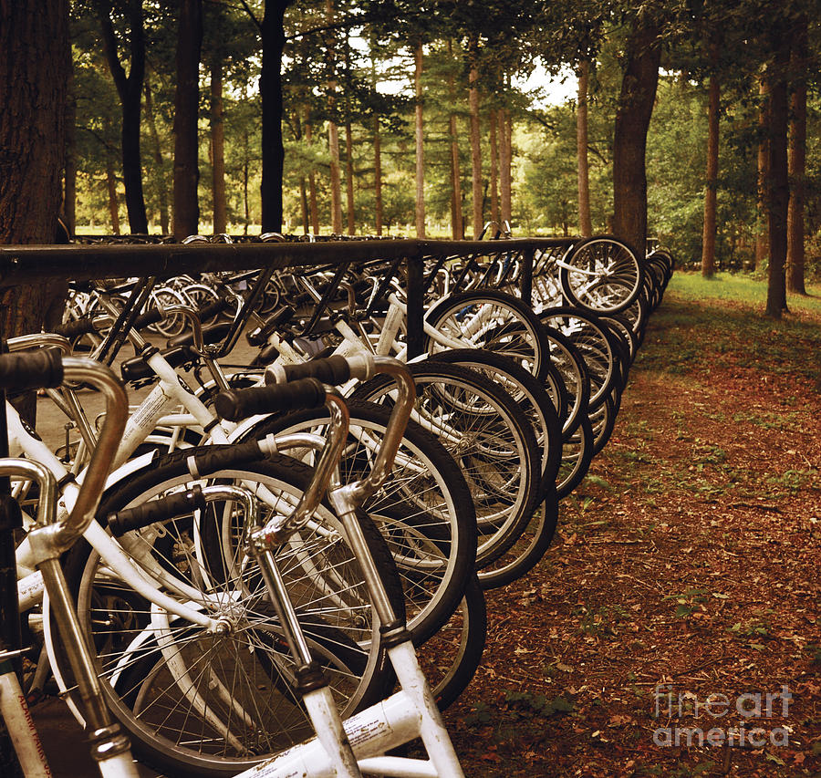 The Bikes of Kroller Muller and National Park De Hoge Veluwe Photograph by Mary Machare