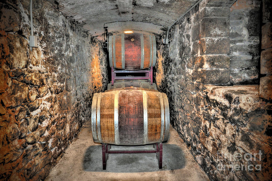 The Biltmore Estate Wine Barrels Photograph by Savannah Gibbs