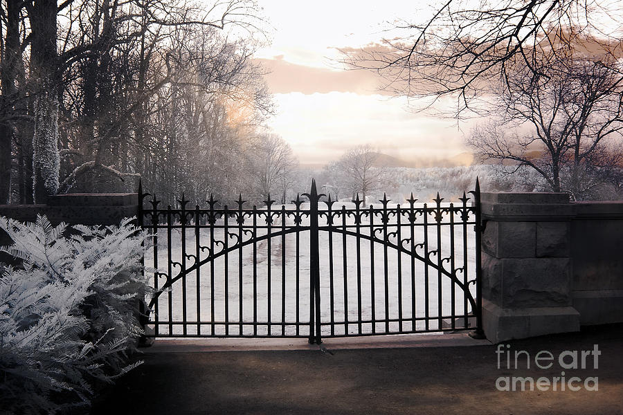 The Biltmore House Gates - Biltmore Estate Mansion Gate Nature Landscape Photograph by Kathy Fornal