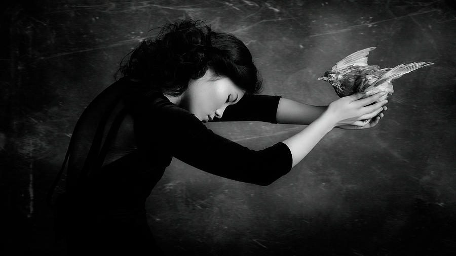 Black And White Photograph - The Bird,1 by Alexandra Fira