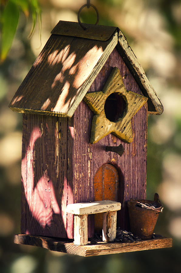 The Birdhouse  Photograph by Saija Lehtonen