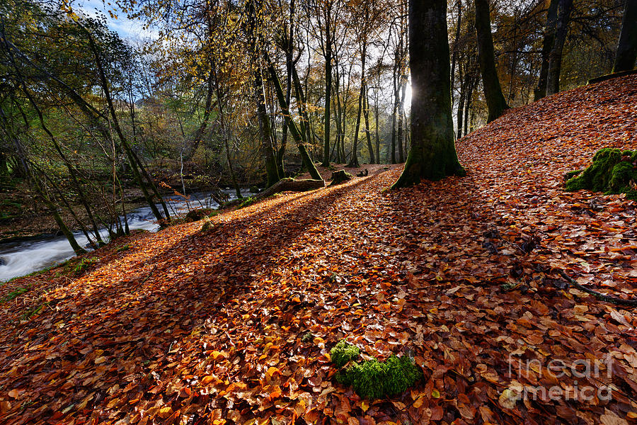 Fall Photograph - Birks of Aberfeldy by Rod McLean