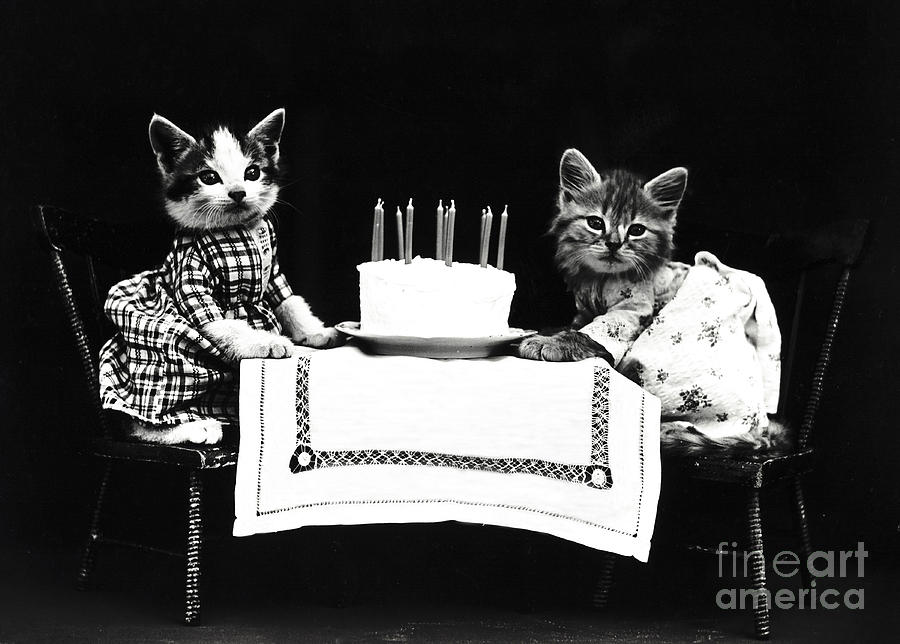 The Birthday Cake in 1914 Photograph by Science Source