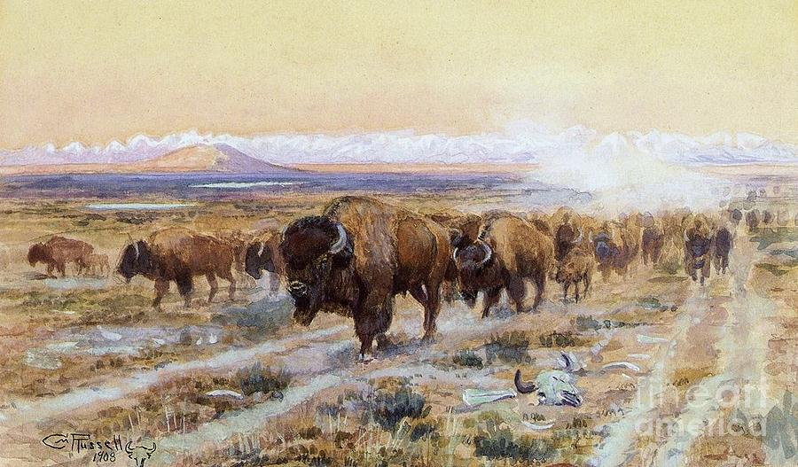 The Bison Trail Painting by Thea Recuerdo