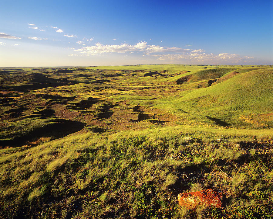 The Bitter Creek Badlands In Valley Photograph by Chuck Haney - Fine ...