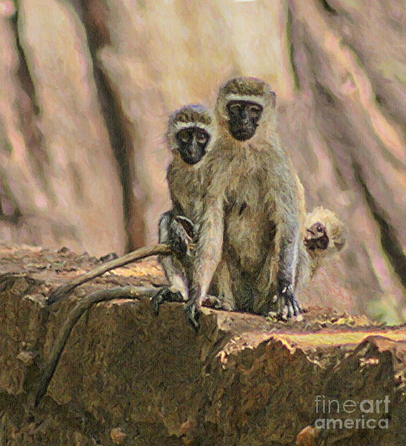 The Black-faced Vervet monkey Digital Art by Liz Leyden
