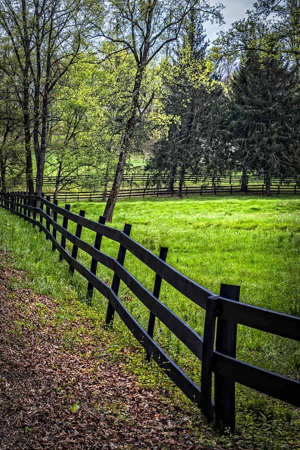 The Black Fence Photograph by Debra and Dave Vanderlaan | Fine Art America