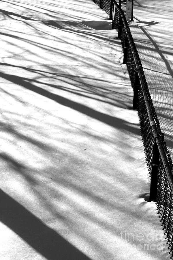 Black And White Photograph - The Black Fence by Heather A Riggs