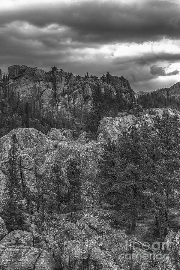 The Black Hills Photograph by Steve Triplett