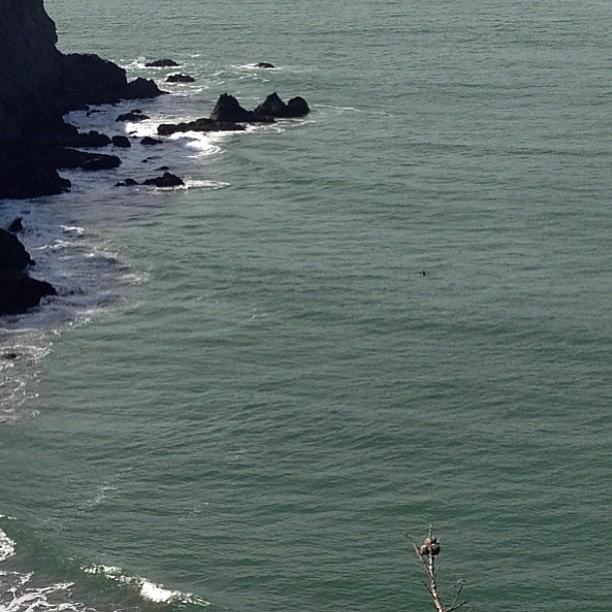 The Black Speck Is The Lone Surfer Out Photograph by Docdab Dabberson