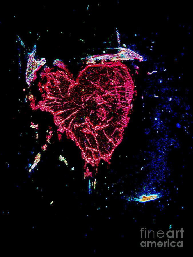 The Bleeding Heart in Neon Photograph by Kelly Awad