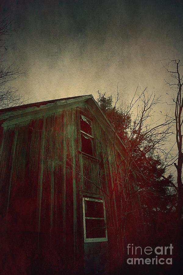The Bleeding House Photograph by Trish Mistric