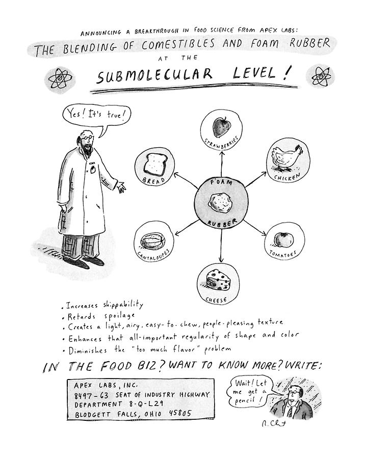 The Blending Of Comestibles And Foam Rubber Drawing by Roz Chast