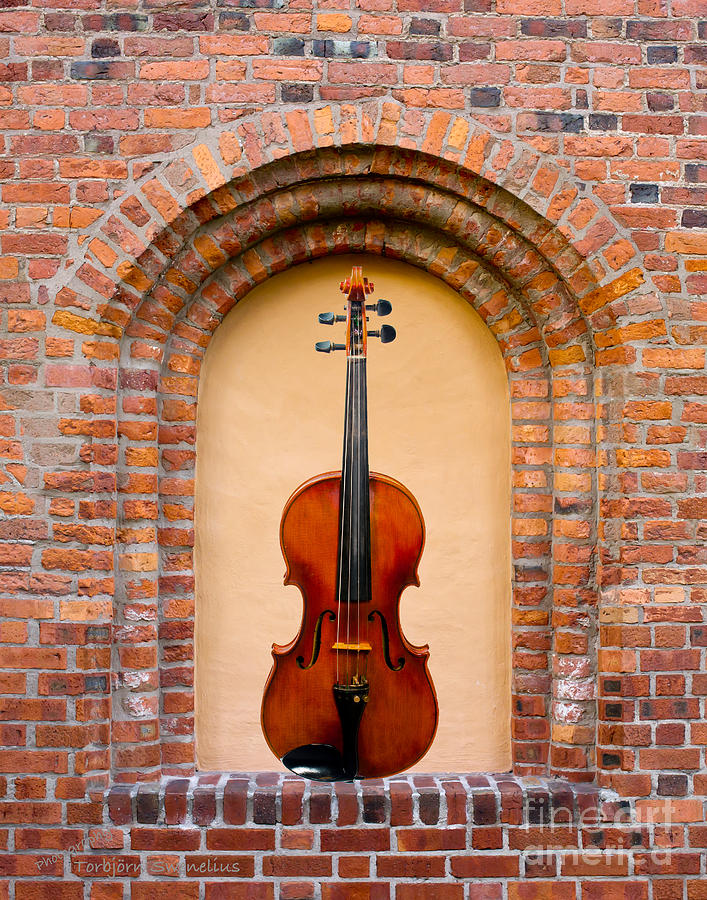 The Blind Windows Violin Photograph by Torbjorn Swenelius