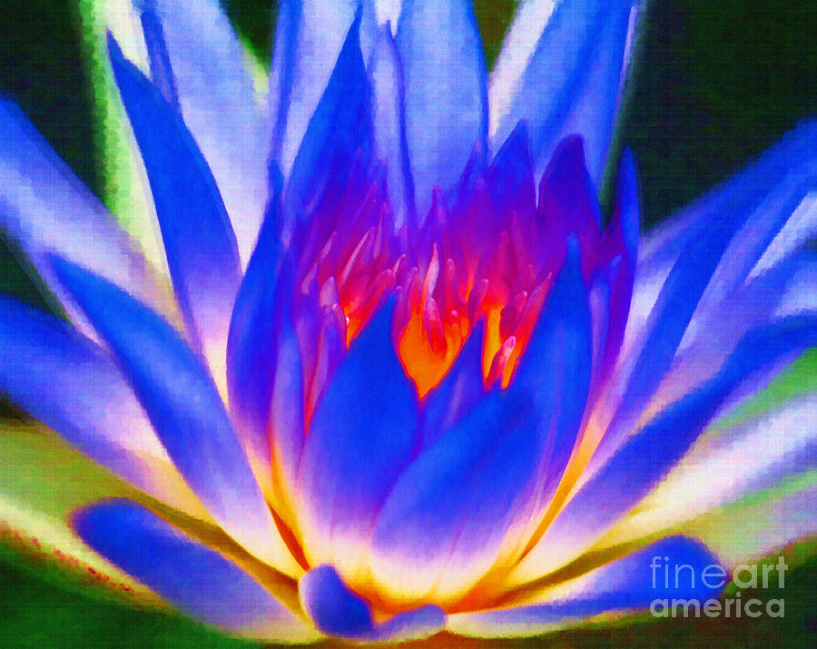 Abstract Digital Art - The Blossom of Blue Lotus  by Rames Ratyantarakor