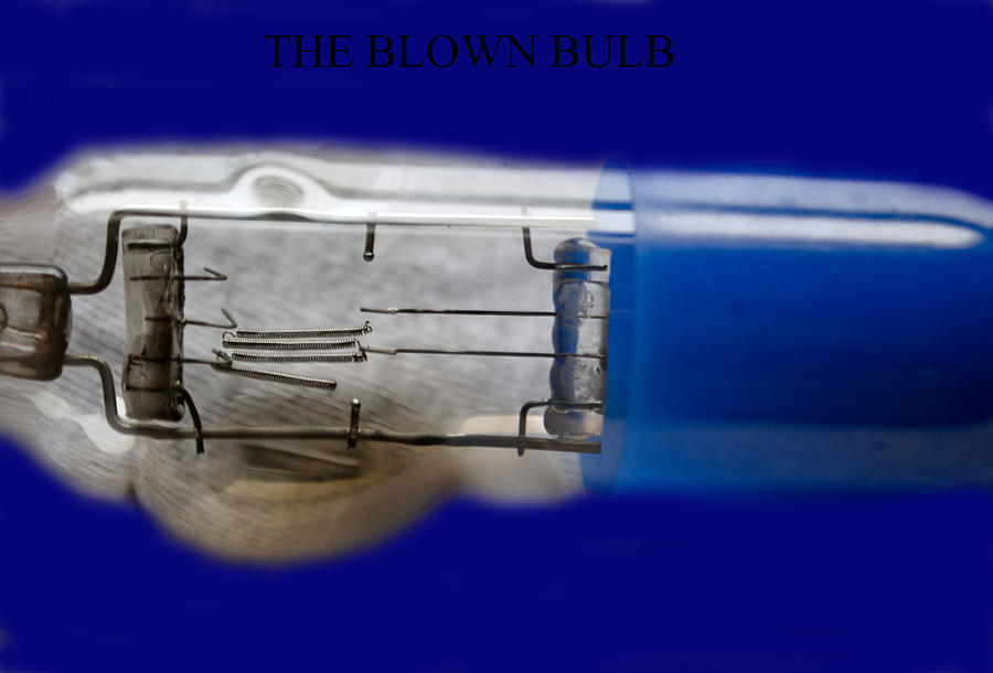 The Blown Bulb Photograph by Tikvahs Hope