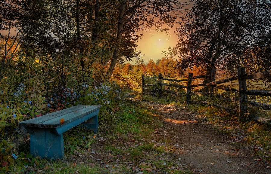 The Blue Bench Photograph by Robin-Lee Vieira