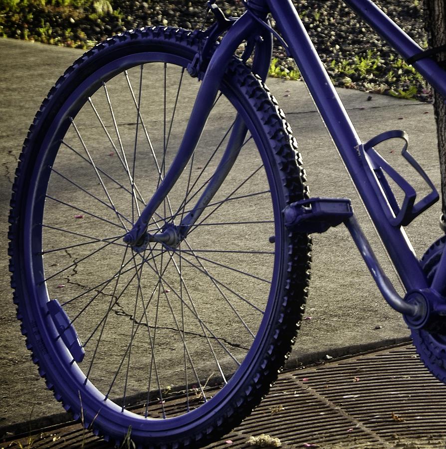 blue mtb tires