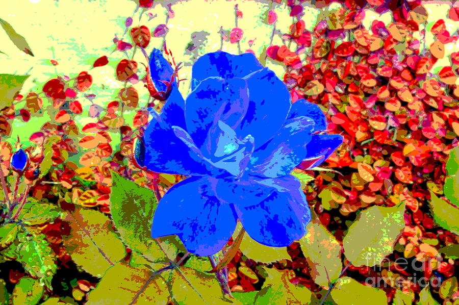 Rose Digital Art - The Blue Blue Rose by Alys Caviness-Gober