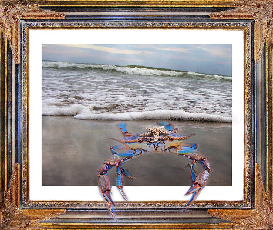 The Blue Crab Digital Art