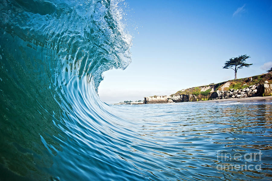 The Blue Curl Photograph by Paul Topp