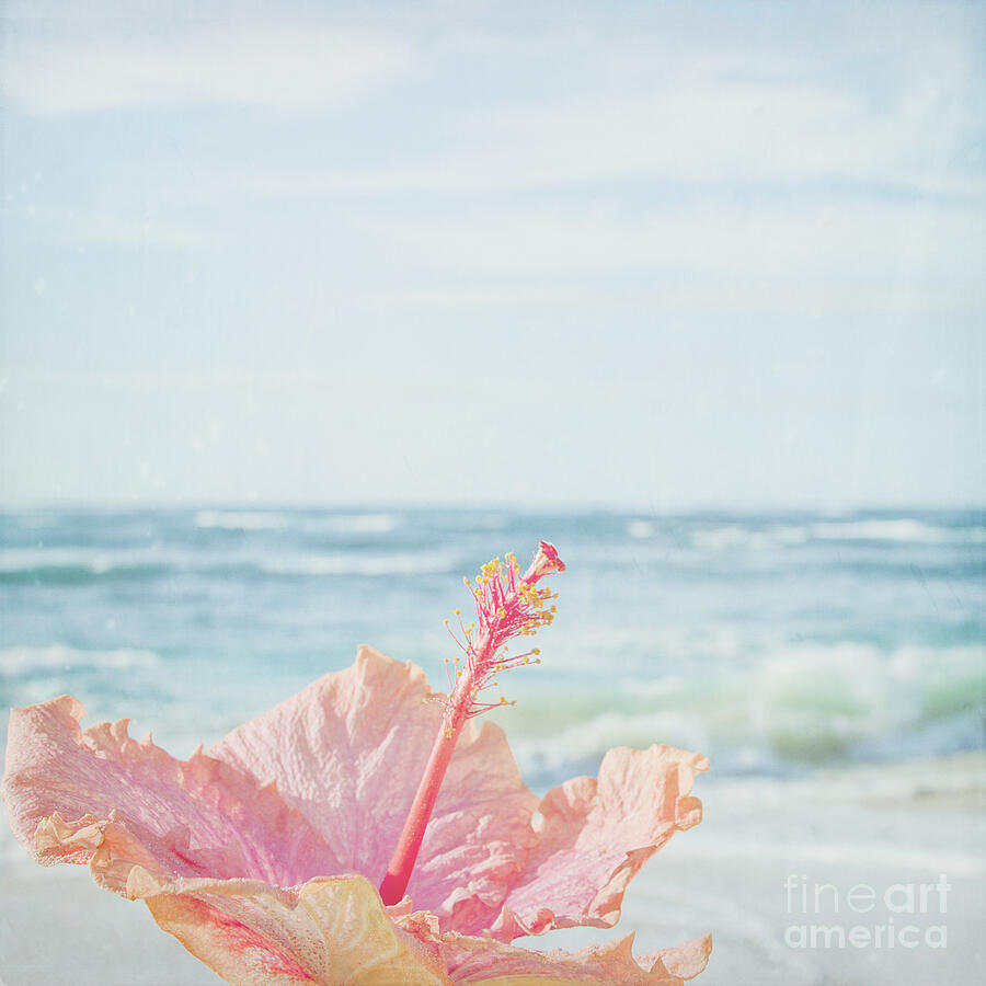 Beach Photograph - The Blue Dawn by Sharon Mau