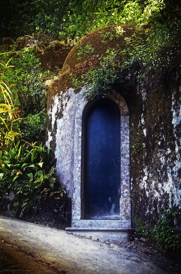 The Blue Door Photograph - The Blue Door by Mary Machare