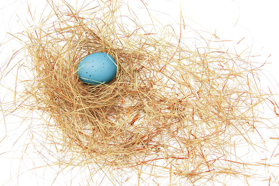 The Blue Egg Photograph by Jennie Marie Schell