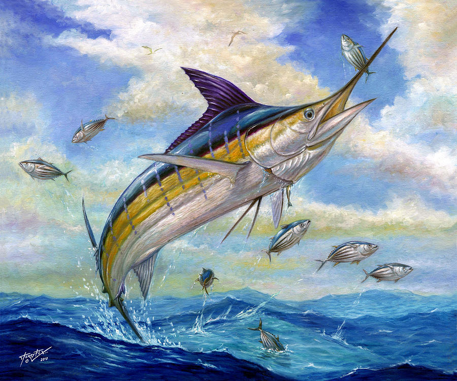 The Blue Marlin Leaping To Eat by Terry Fox