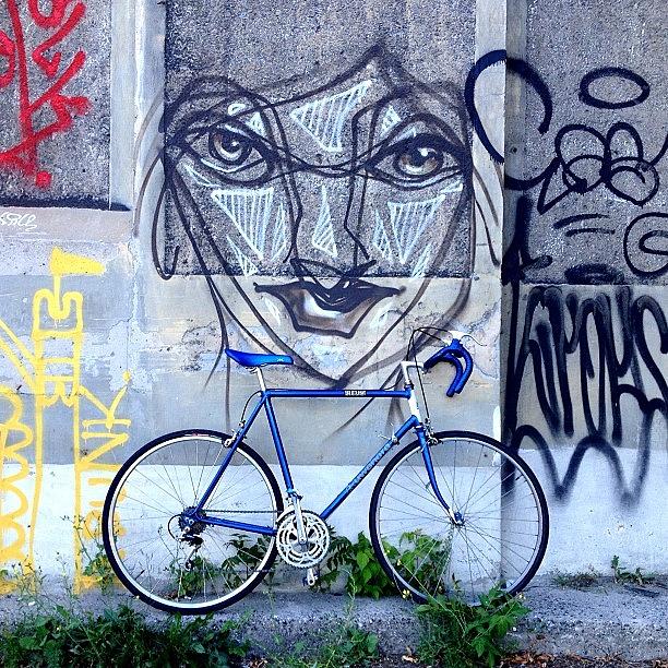 Bicycle Photograph - The Blue Meenie Lookin At You by Kreddible Trout
