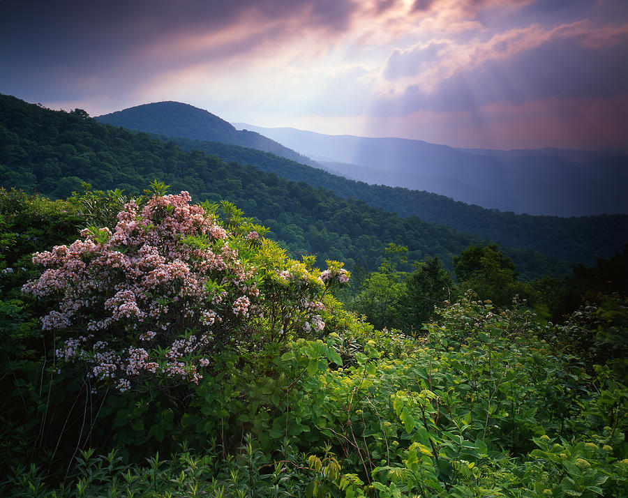 The Blue Ridge Parkway Photograph by Ray Mathis