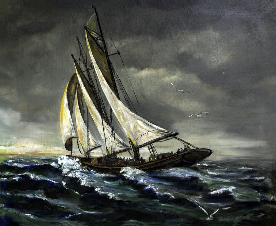 Bluenose Paradox by Larry Gent